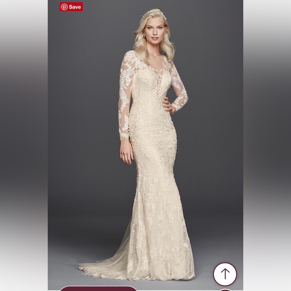 David’s Bridal long sleeve illusion v-neck wedding dress 2 petite